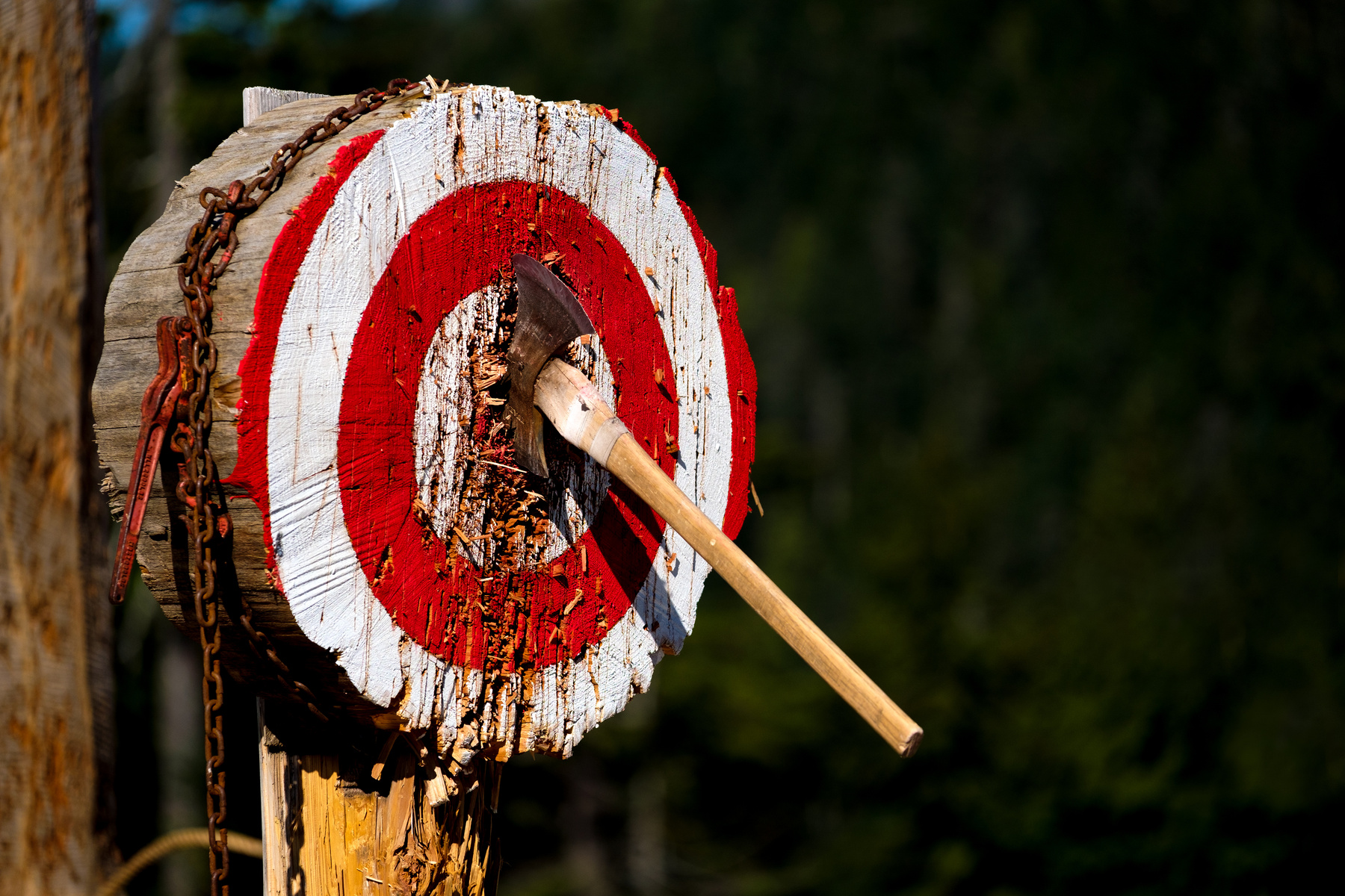 Thrown Axe in Bullseye